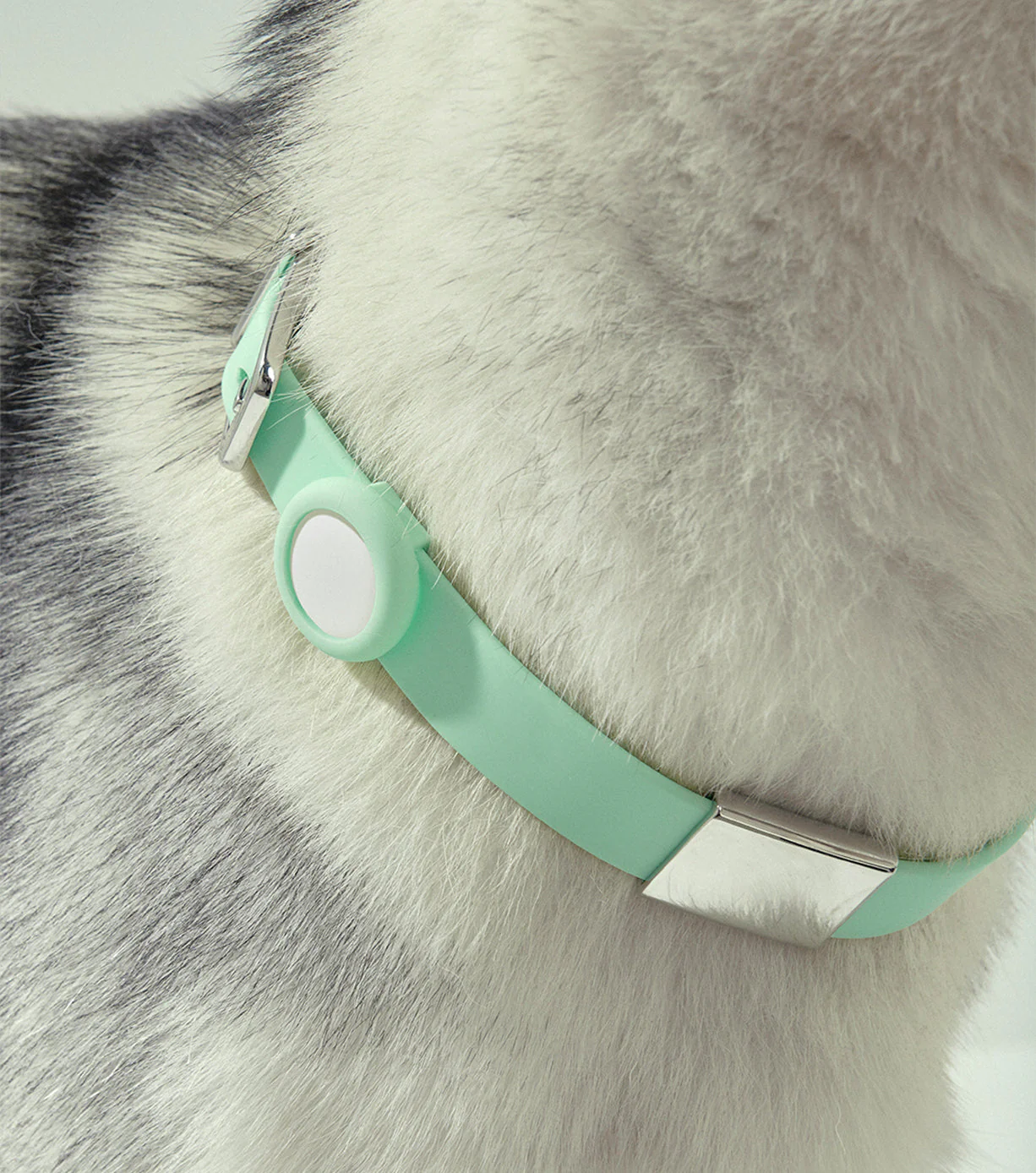 Apple AirTag® + Holder - Universal - Image 15