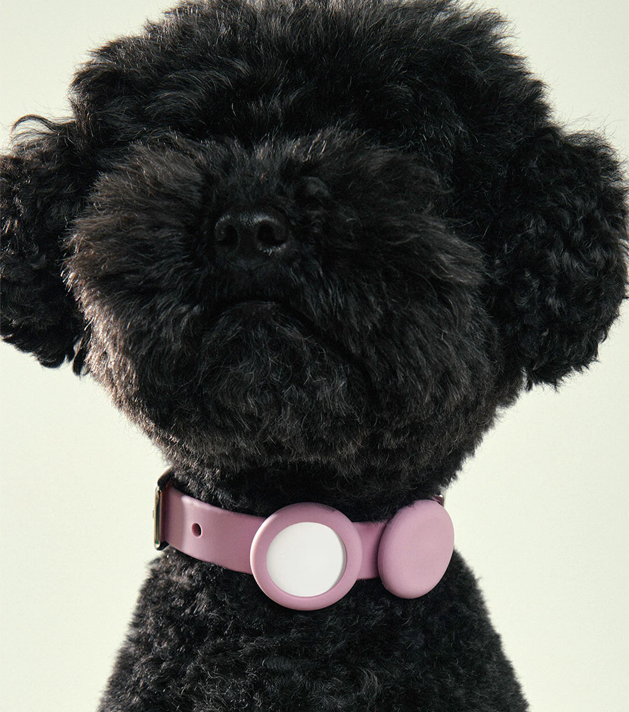 Apple AirTag® + Holder - Universal - Image 17