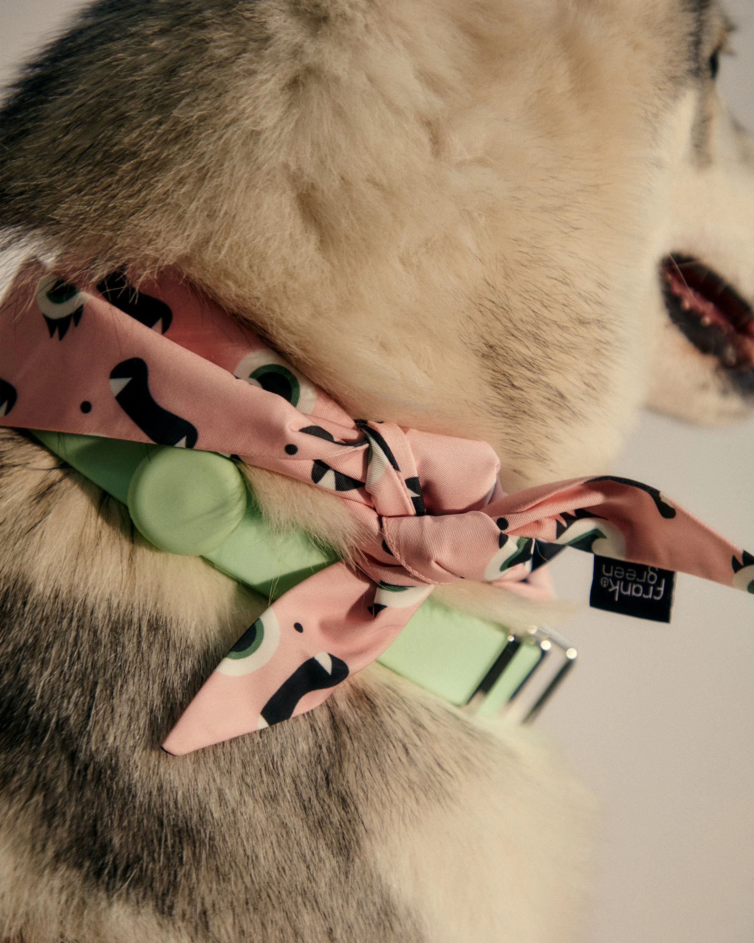 Pet Bandana - Image 10