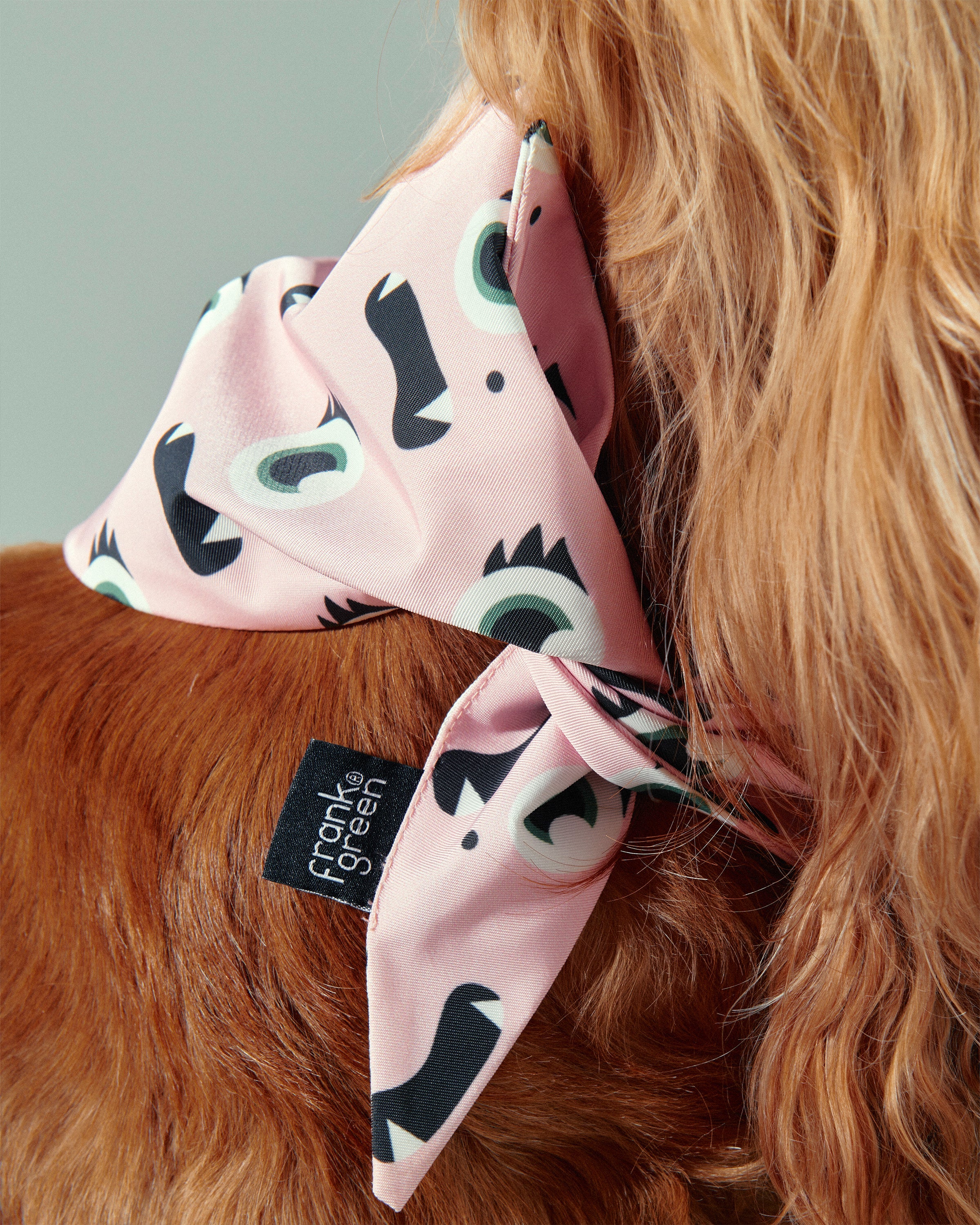 Pet Bandana - Image 12