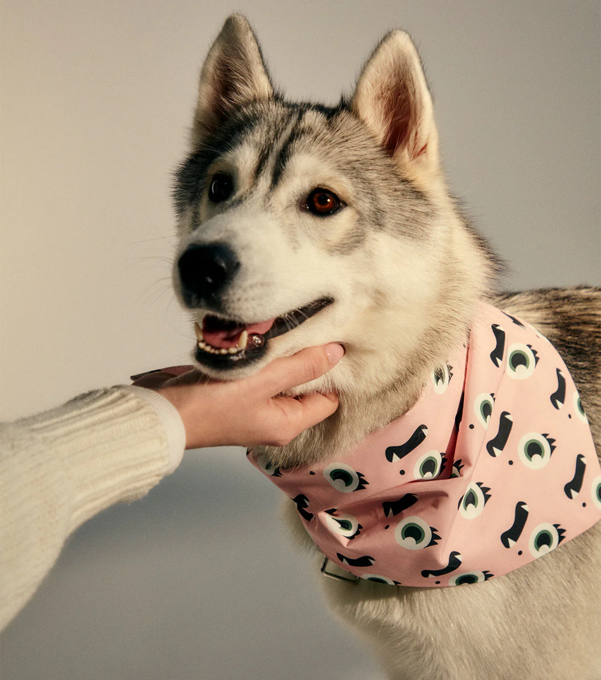 Pet Bandana - Image 22