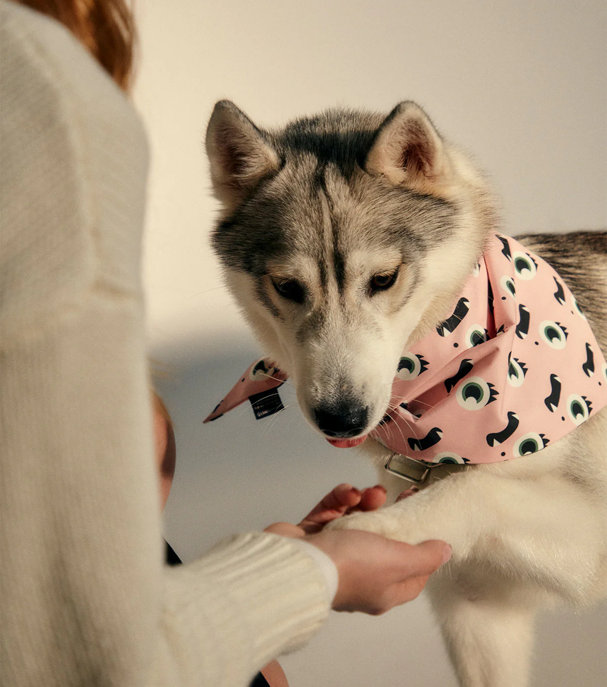 Pet Bandana - Image 24