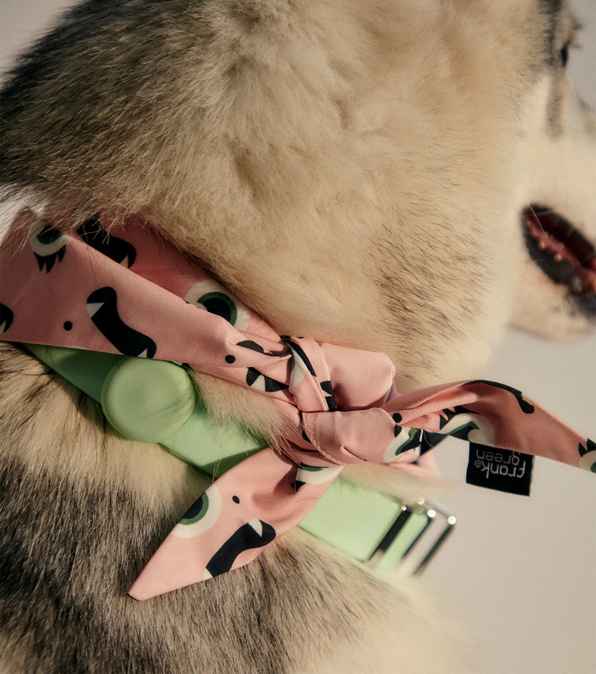Pet Bandana - Image 25