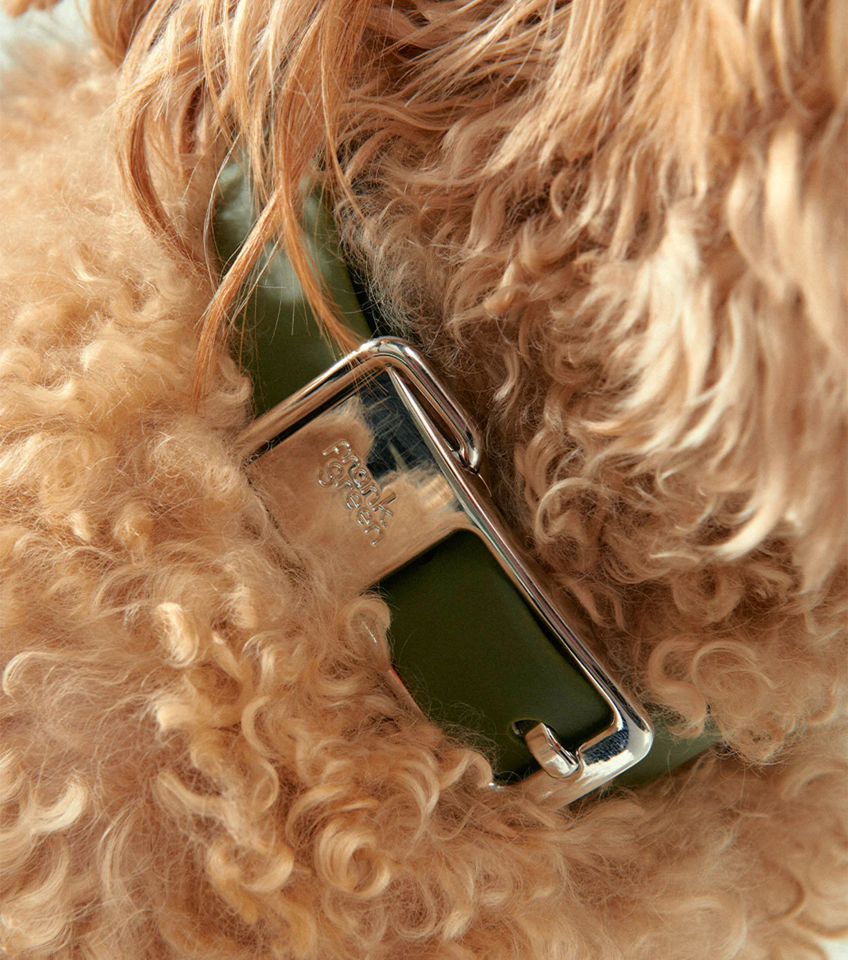 Pet Collar - Large - Image 21