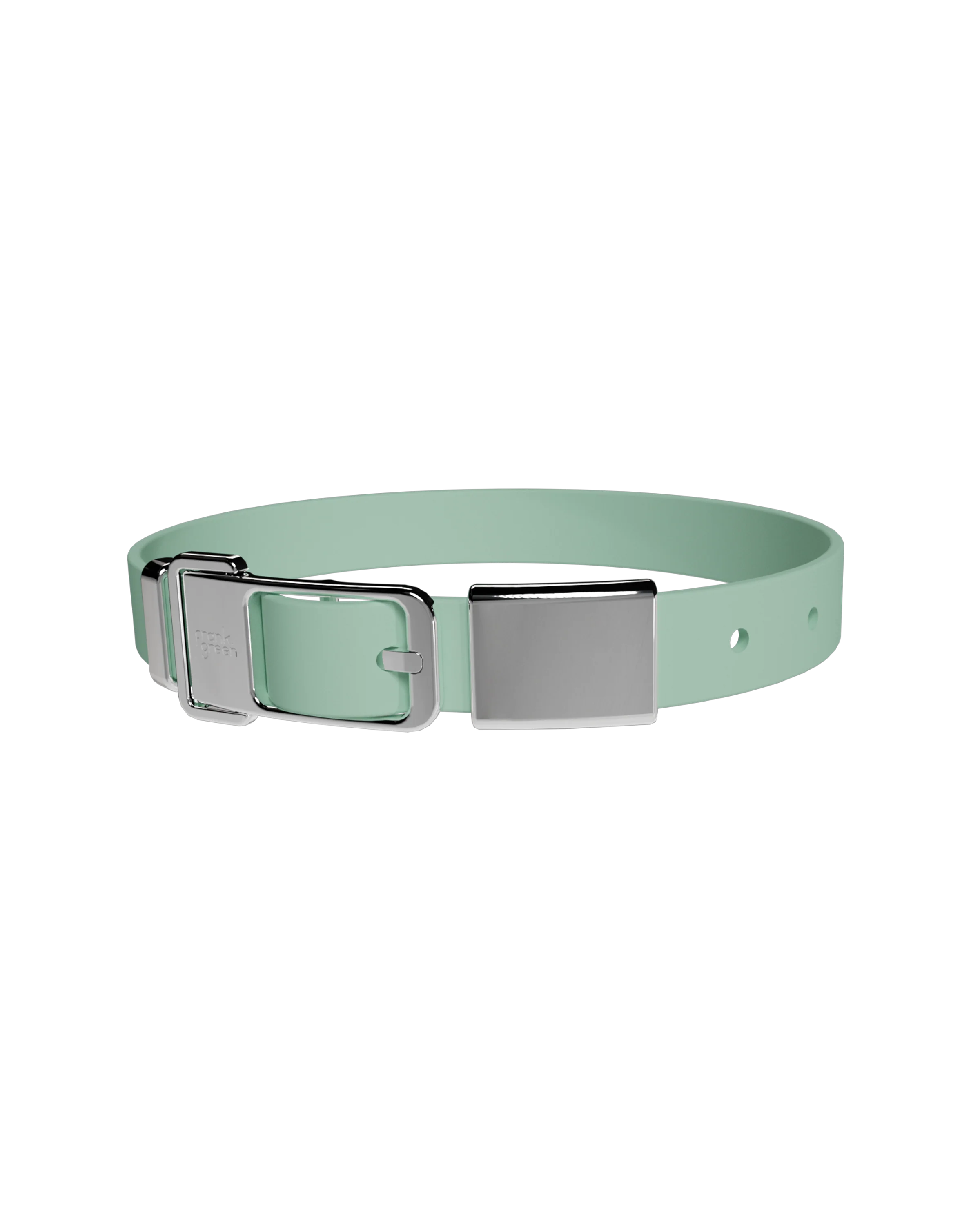 Pet Collar + Name Tag - Large - Image 5