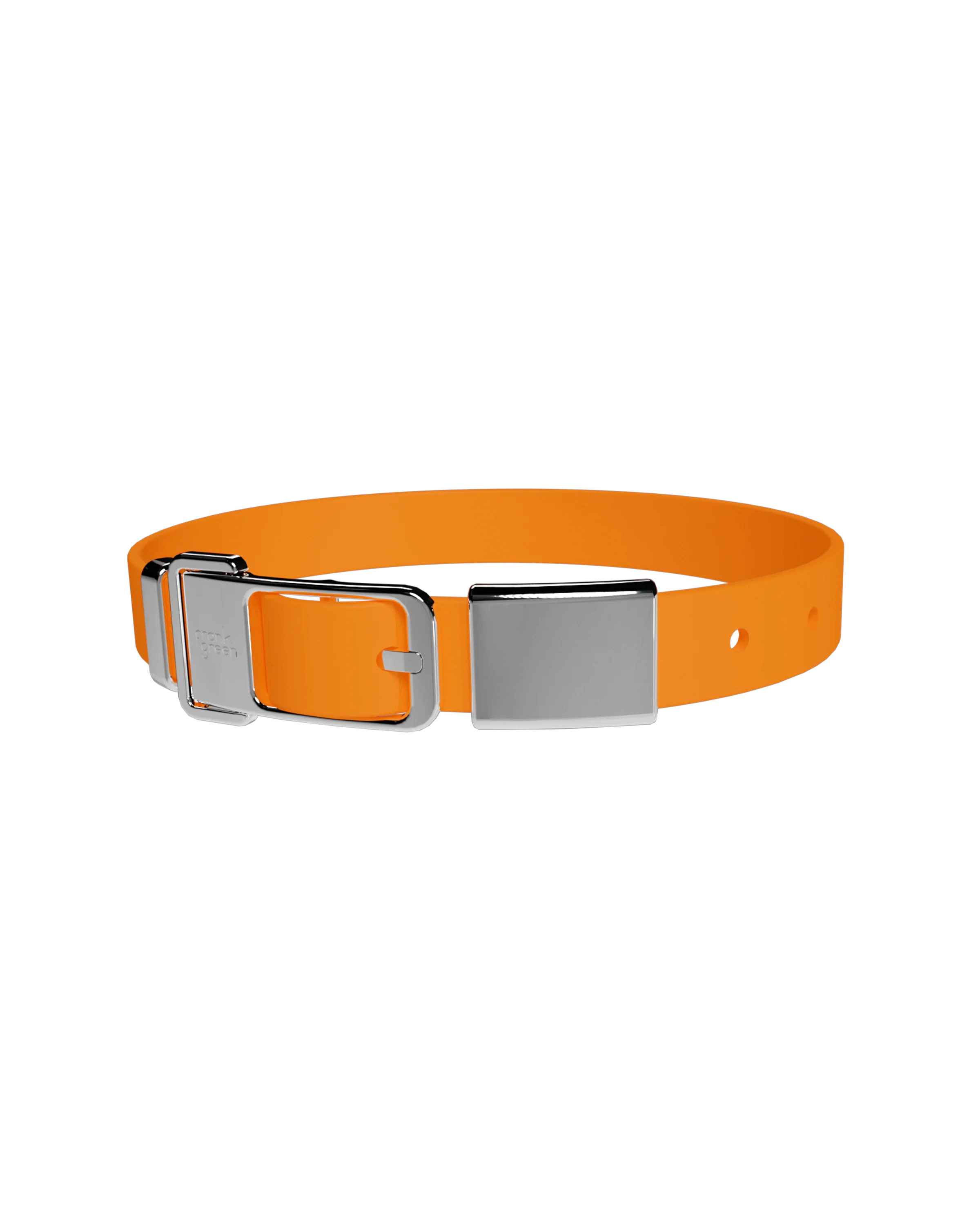Pet Collar + Name Tag - Large - Image 6