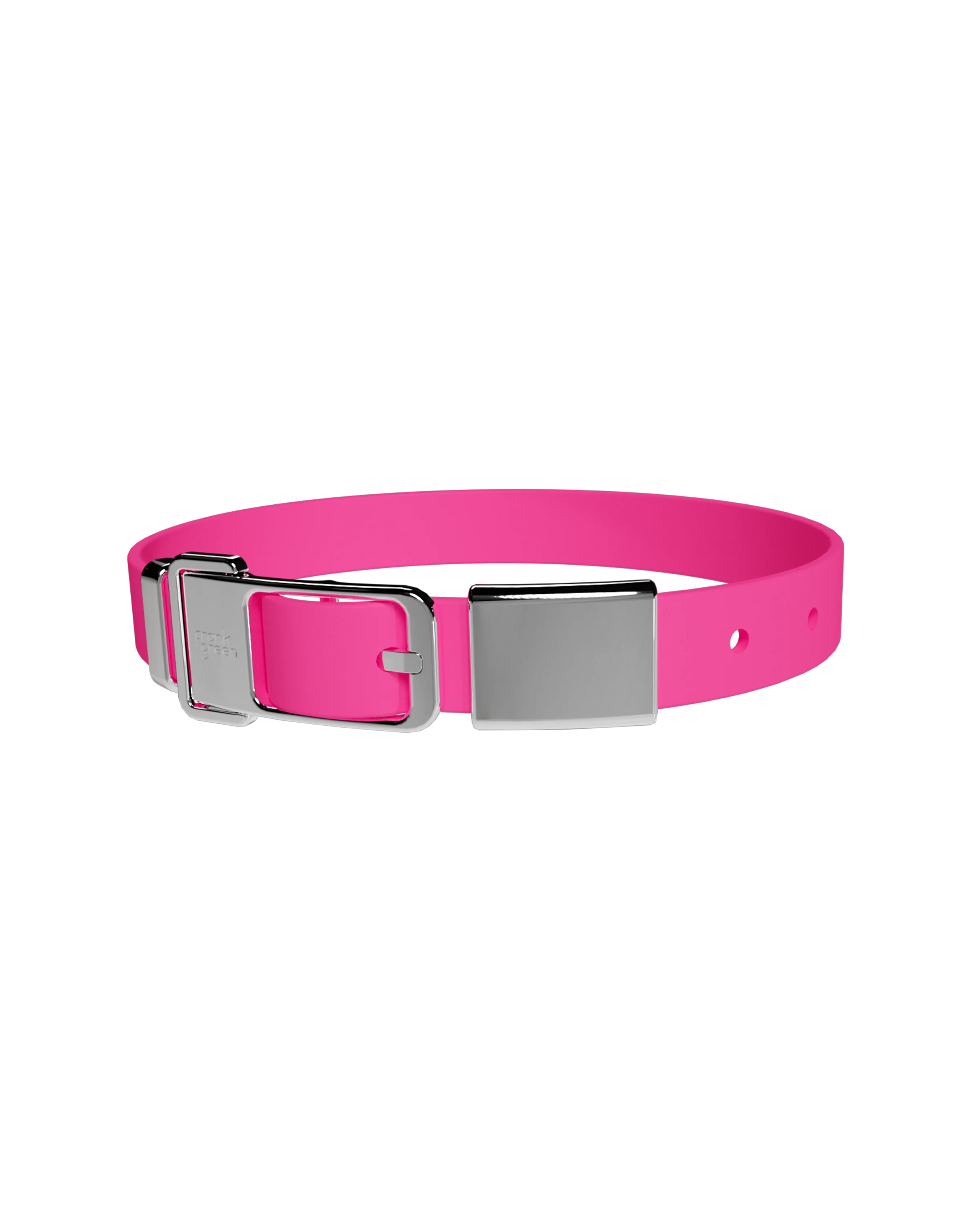 Pet Collar + Name Tag - Large - Image 7