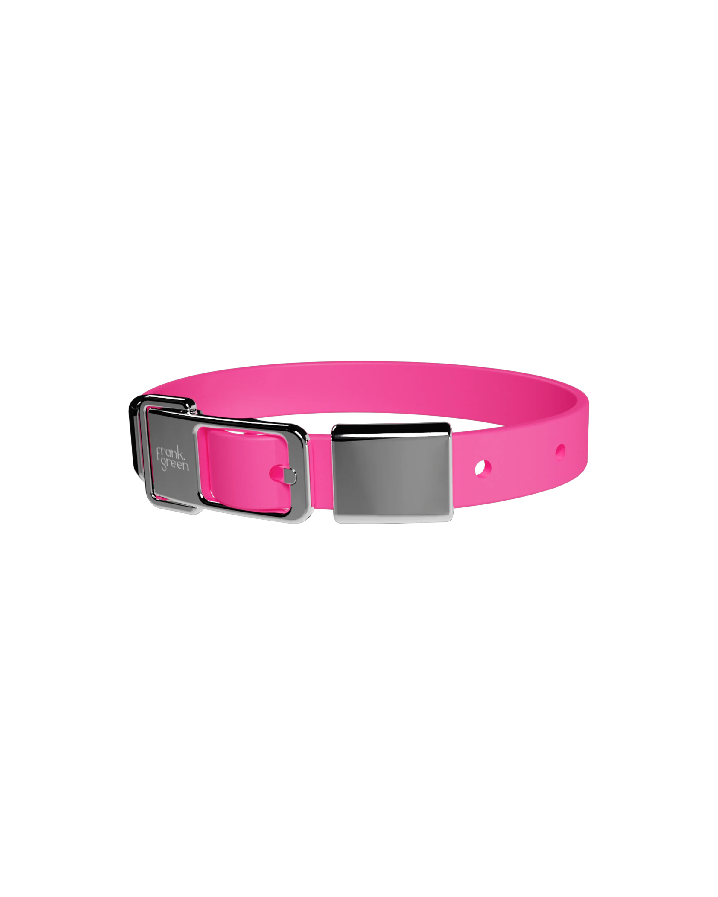 Pet Collar + Name Tag - Medium - Image 6
