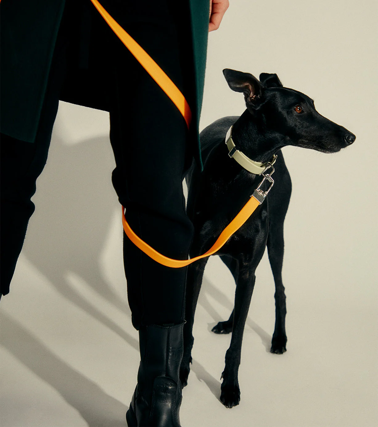 Pet Lead - Image 17