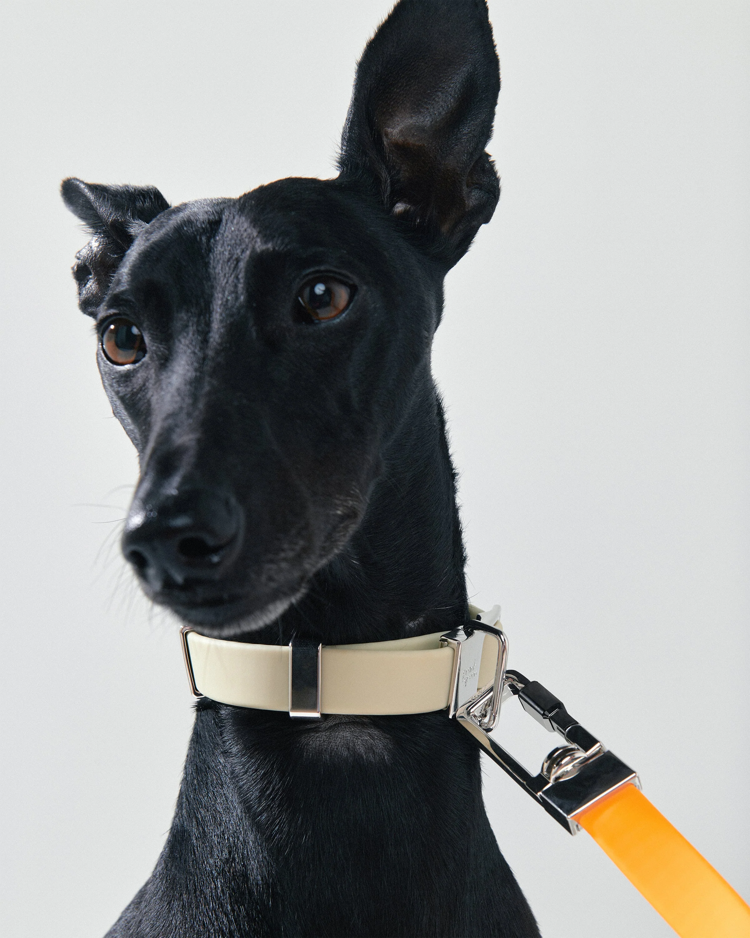 Pet Lead Handle - Image 11