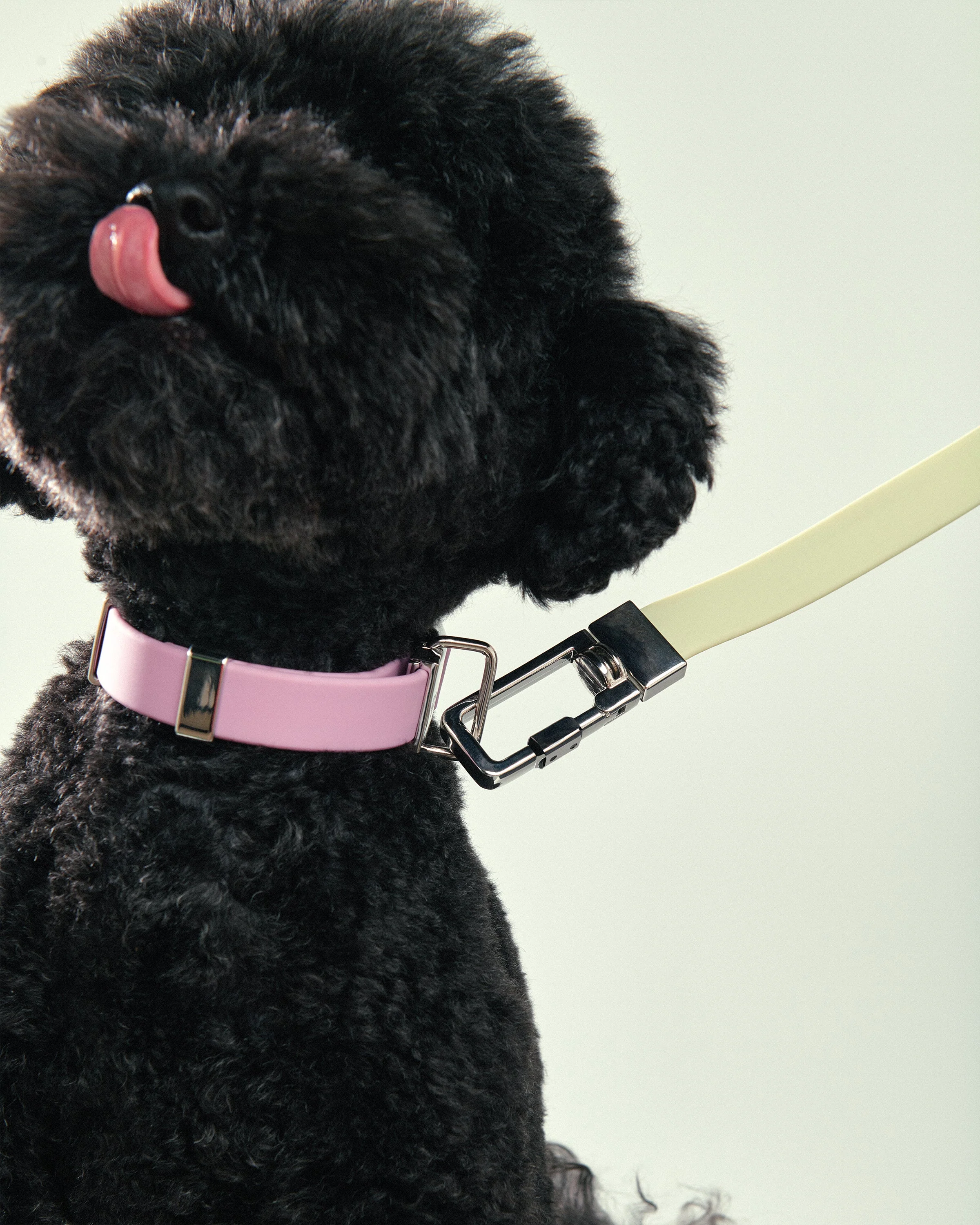 Pet Lead Handle - Image 9