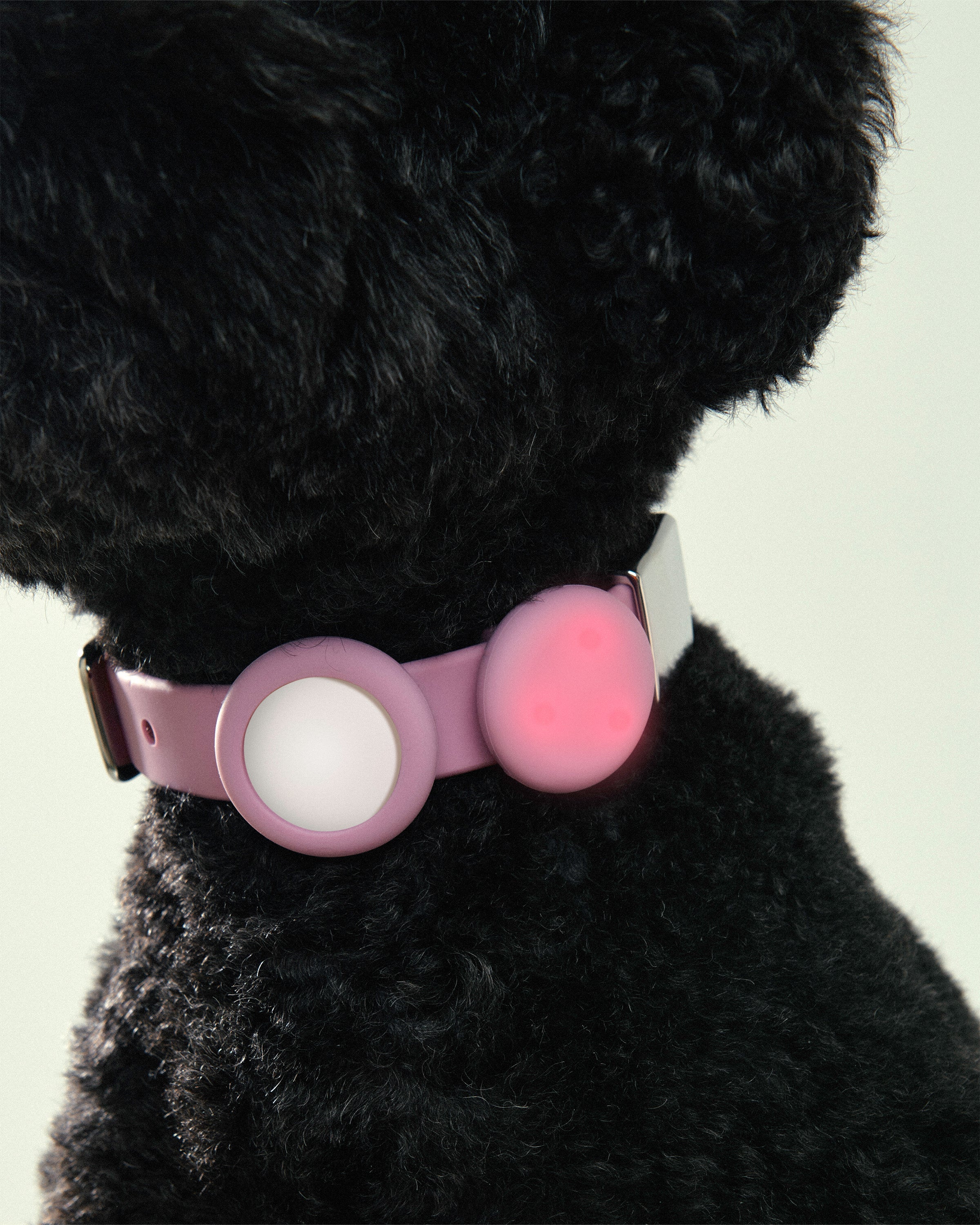 Pet Safety Light - Universal - Image 20