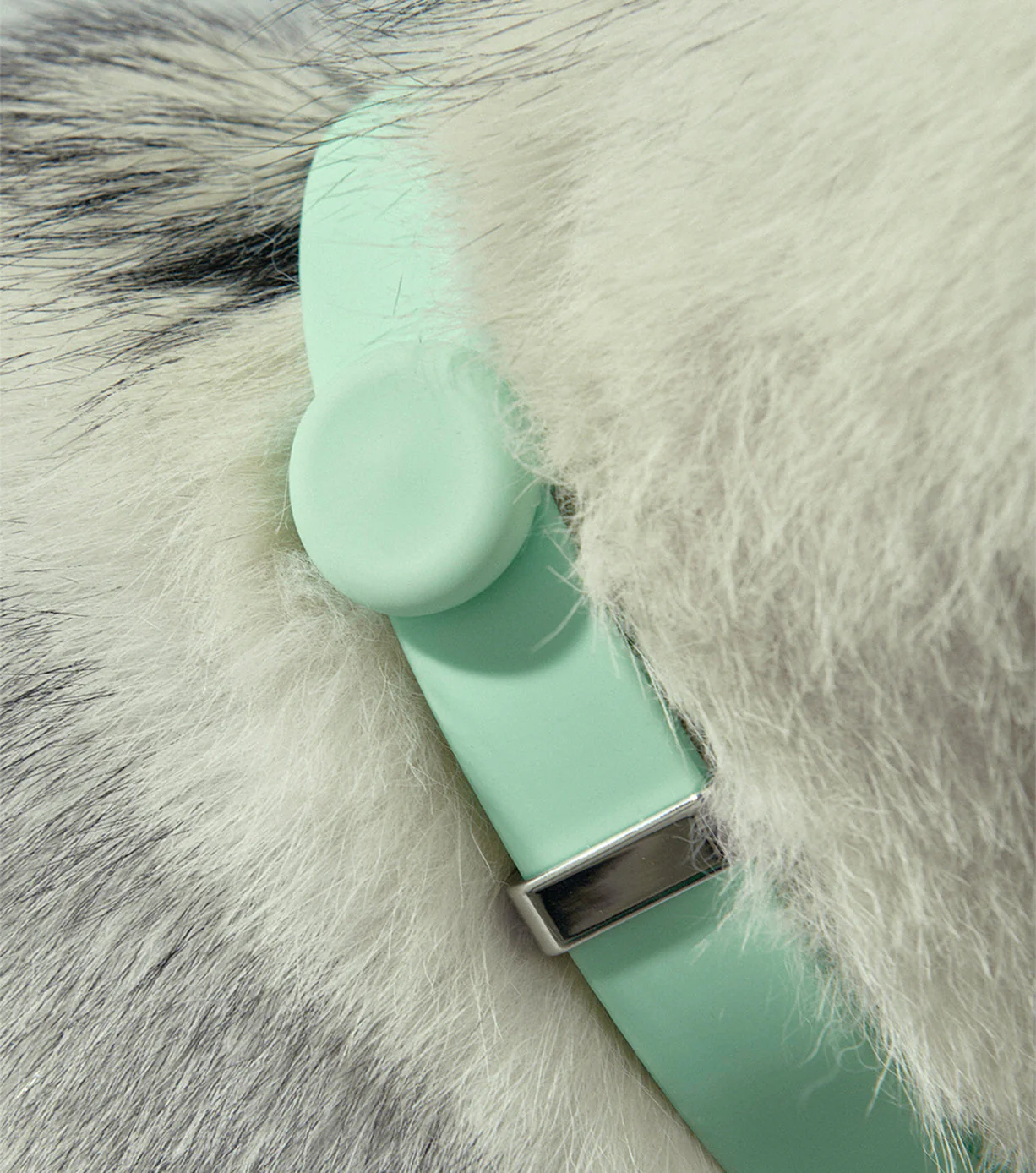 Pet Safety Light - Universal - Image 23