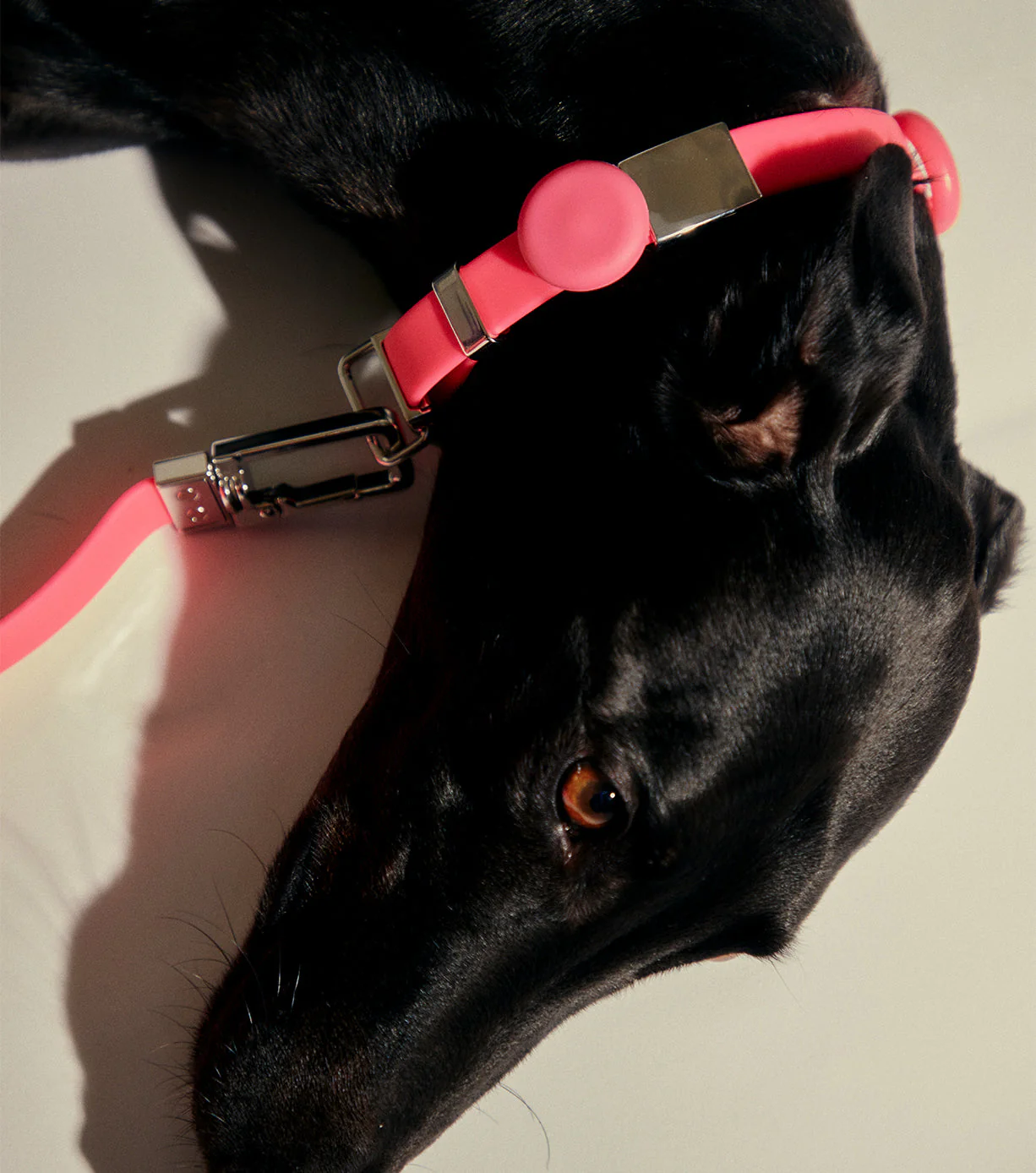 Pet Safety Light - Universal - Image 24