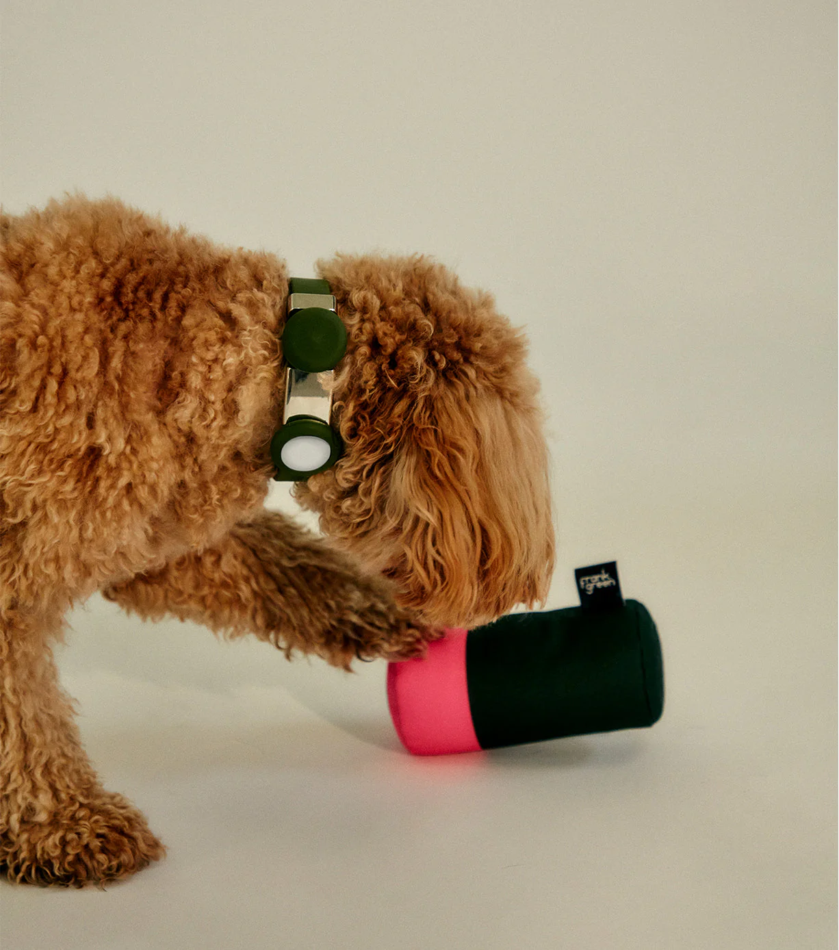 Pet Squeaky Toy - Image 5