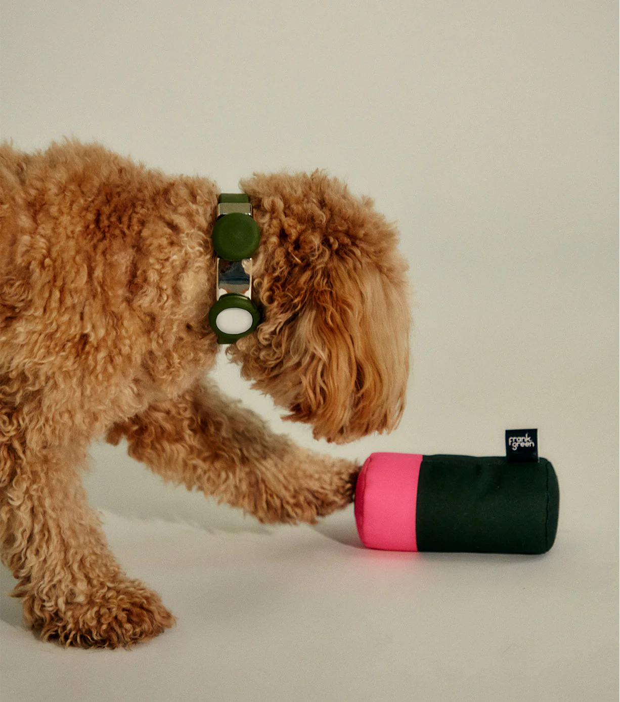 Pet Squeaky Toy - Image 6