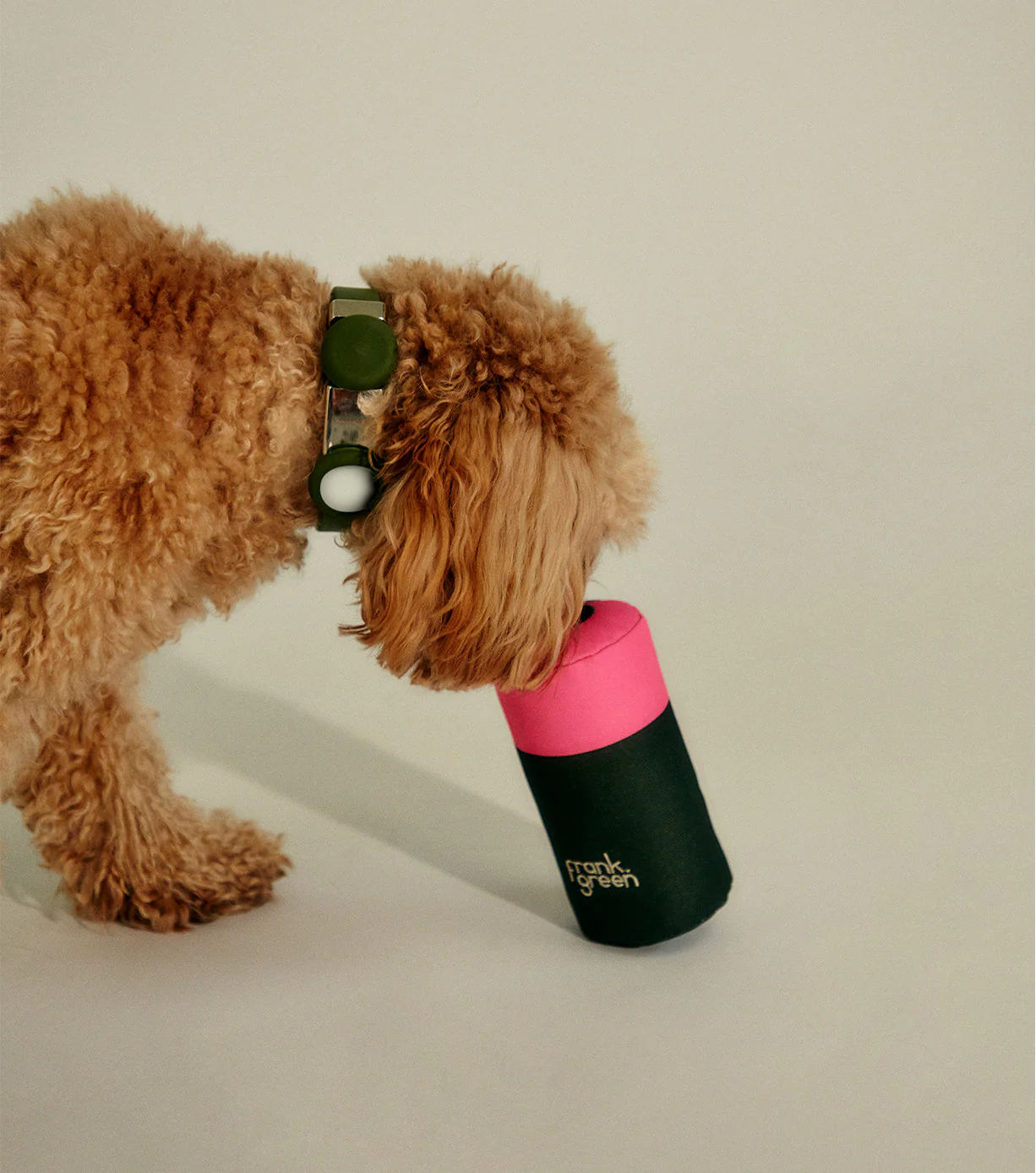 Pet Squeaky Toy - Image 7