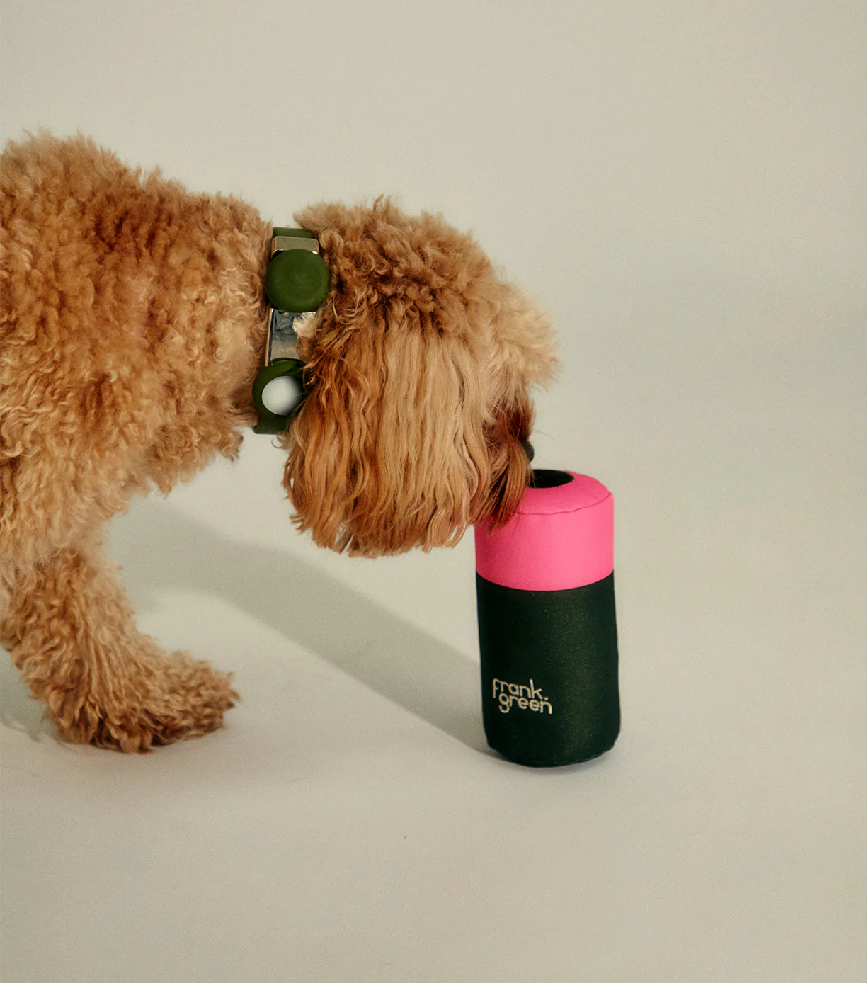 Pet Squeaky Toy - Image 8