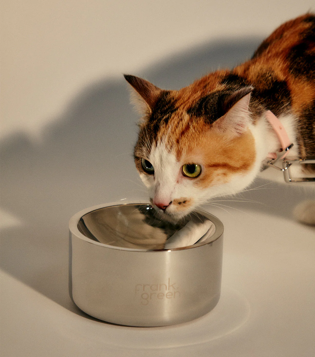 Stainless Steel Pet Bowl - Dog - Medium - Image 17