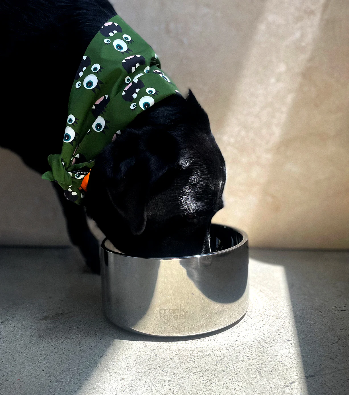 Stainless Steel Pet Bowl - Dog - Medium - Image 21