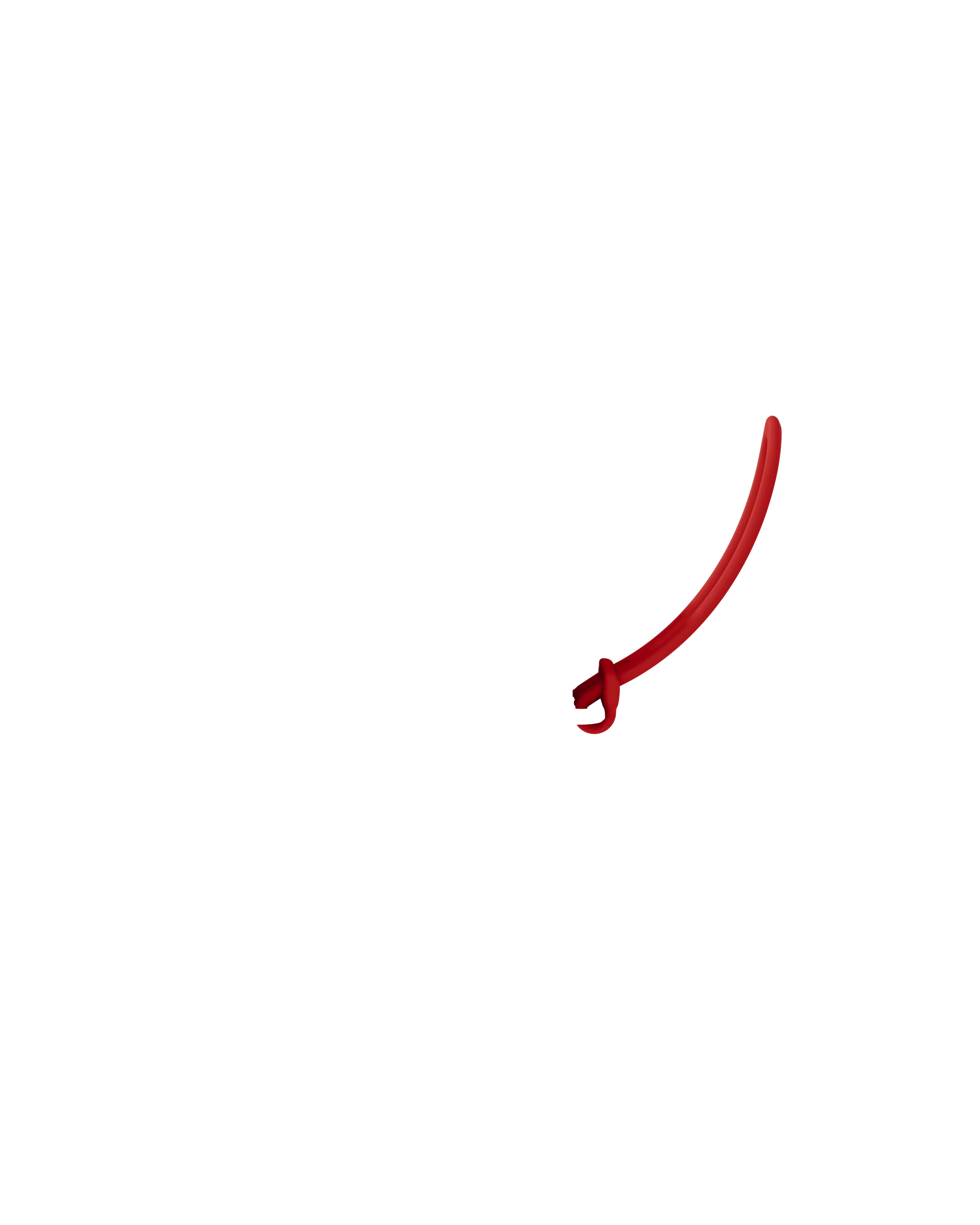 Strap - Image 23