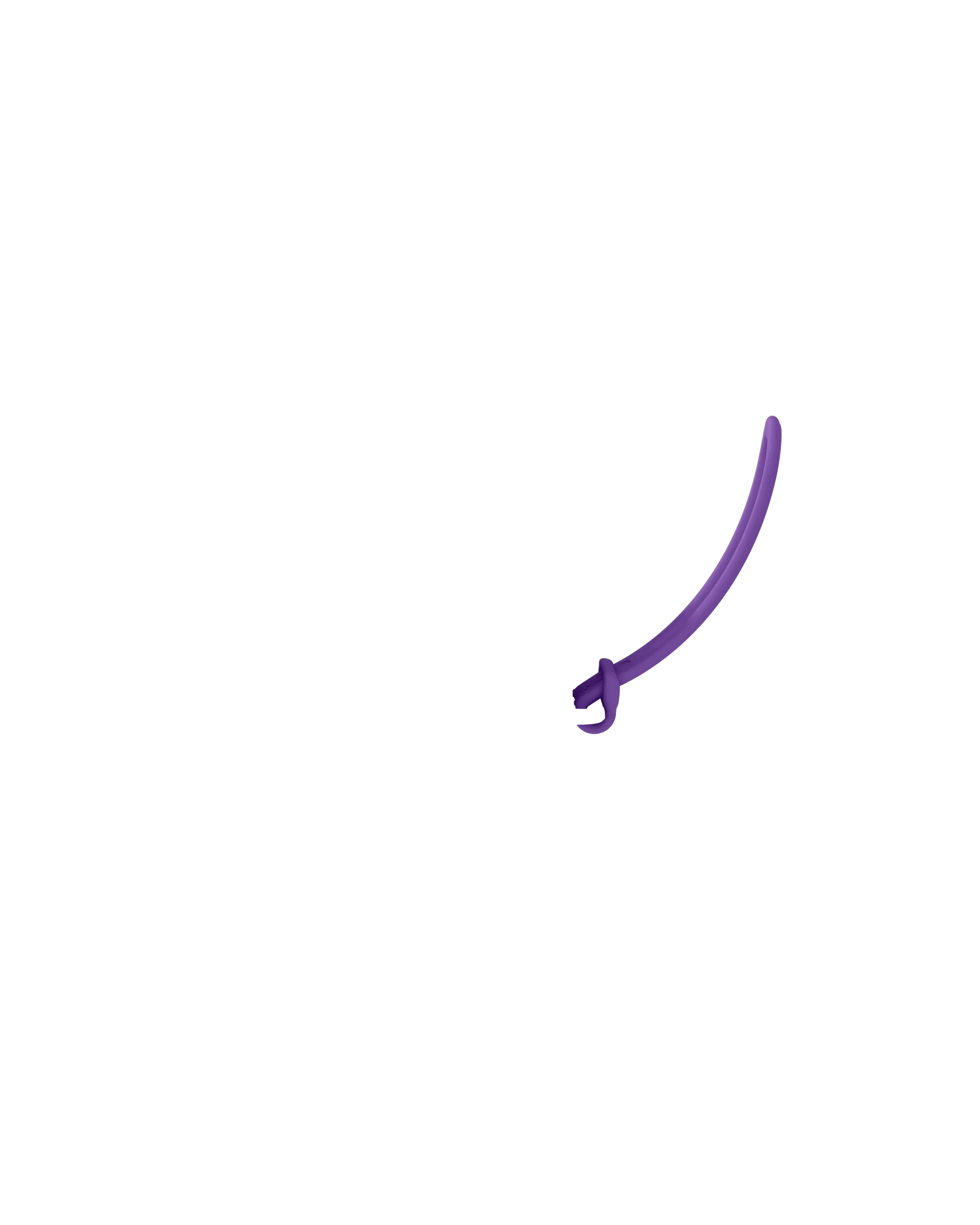 Strap - Image 29